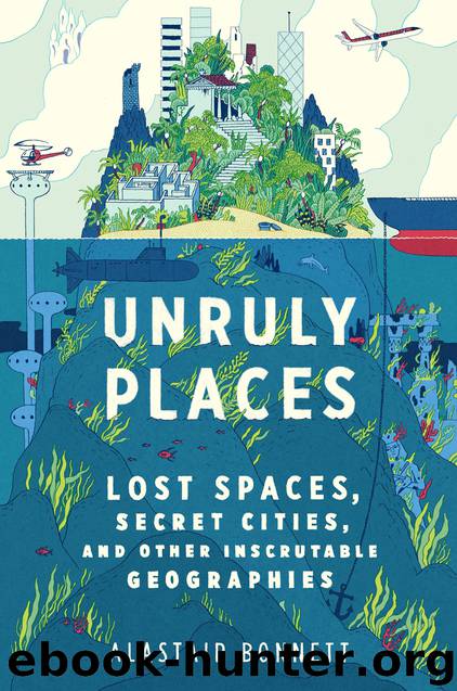 Unruly Places by Alastair Bonnett