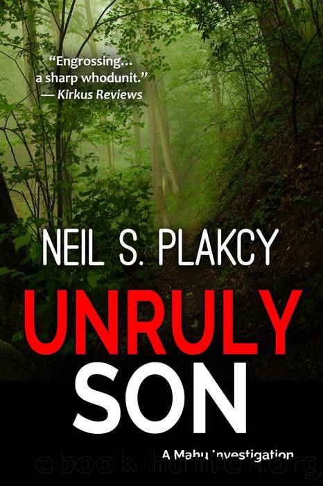 Unruly Son by Neil S. Plakcy