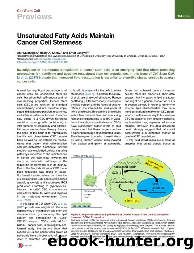 Unsaturated Fatty Acids Maintain Cancer Cell Stemness by Abir Mukherjee & Hilary A. Kenny & Ernst Lengyel