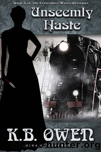 Unseemly Haste by K. B. Owen
