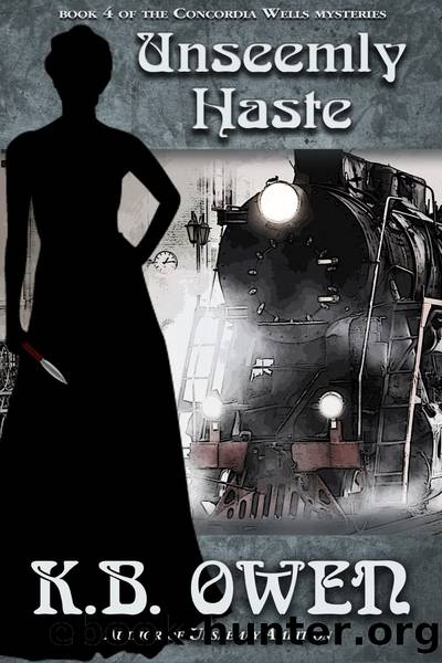 Unseemly Haste by K.B. Owen