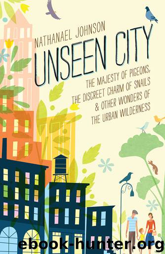 Unseen City by Nathanael Johnson