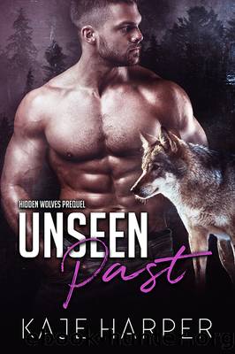 Unseen Past by Kaje Harper