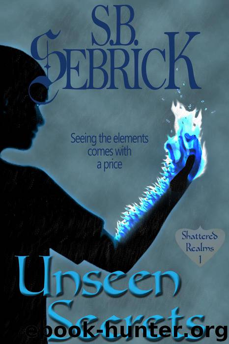 Unseen Secrets by S. B. Sebrick