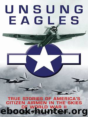 Unsung Eagles: True Stories of America’s Citizen Airmen in the Skies of World War II by Jay Stout