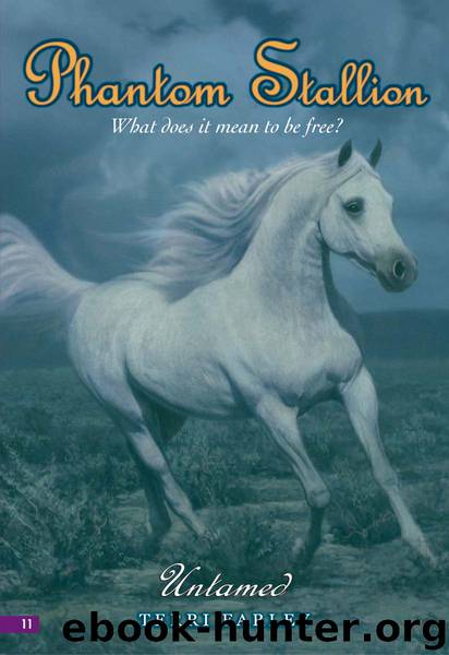 Untamed by Terri Farley