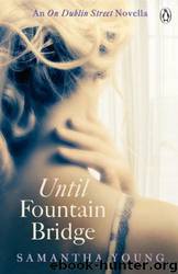 Until Fountain Bridge by Samantha Young