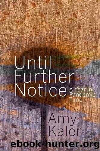 Until Further Notice by Amy Kaler