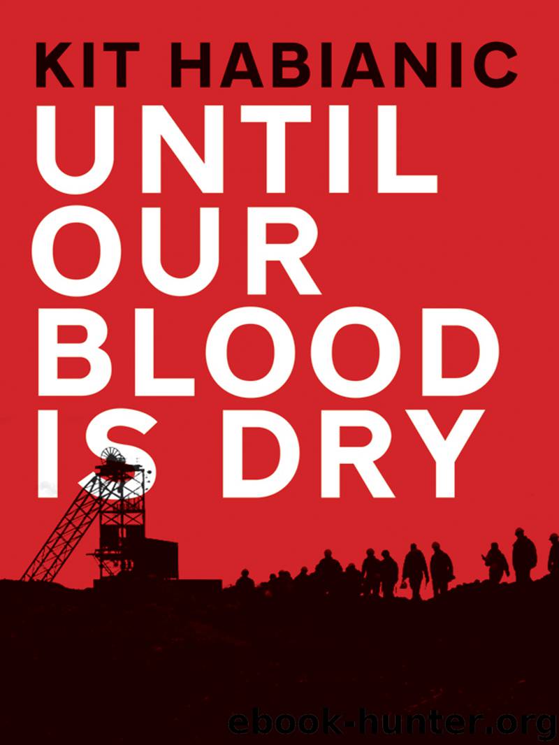 Until Our Blood Is Dry by Kit Habianic
