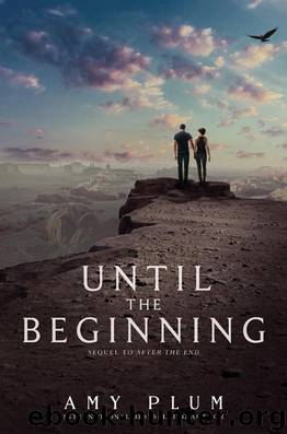 Until the Beginning by Plum Amy