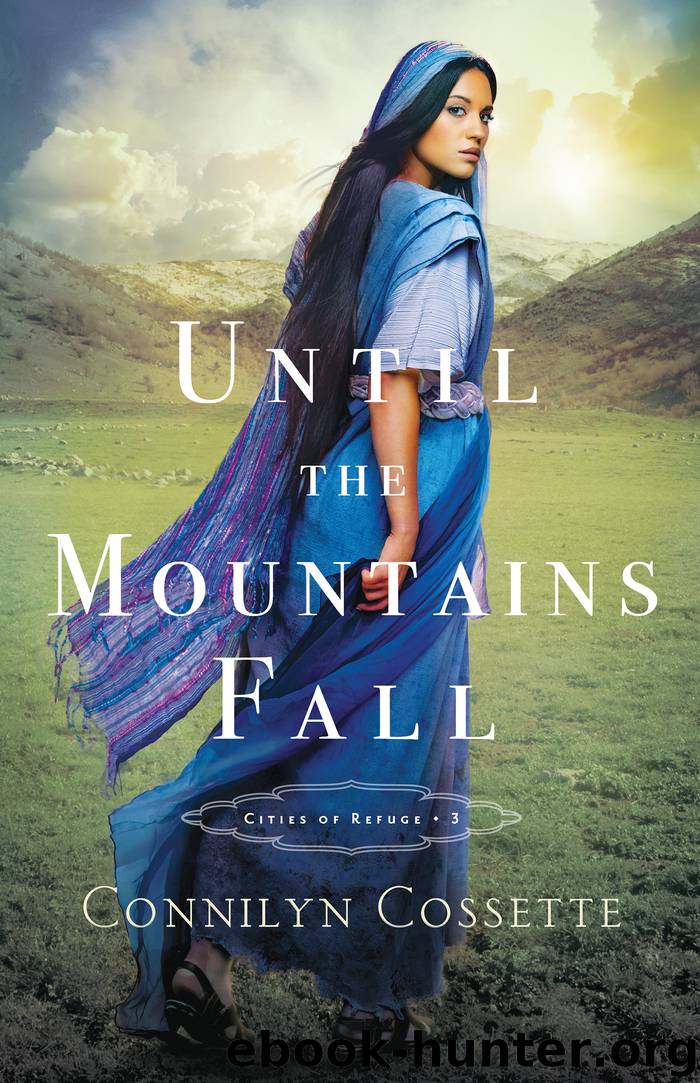 Until the Mountains Fall by Connilyn Cossette