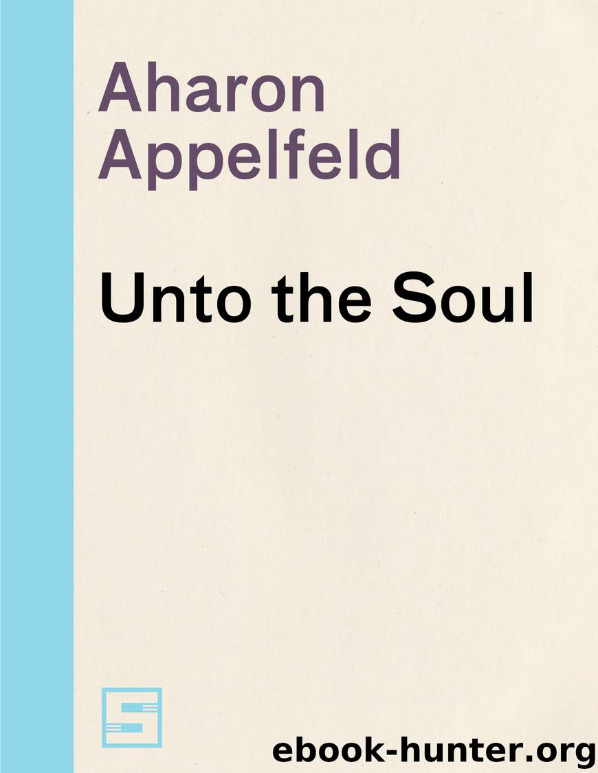 Unto the Soul by Aharon Appelfeld