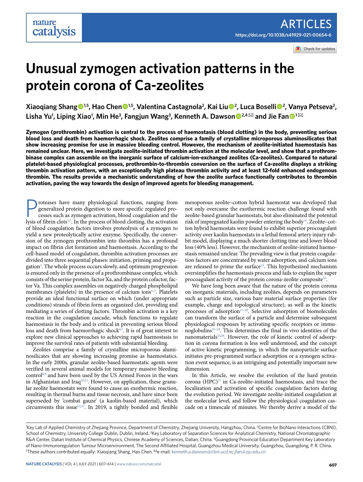 Unusual zymogen activation patterns in the protein corona of Ca-zeolites by unknow