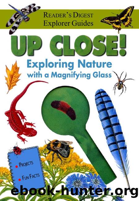 Up Close by Exploring Nature w