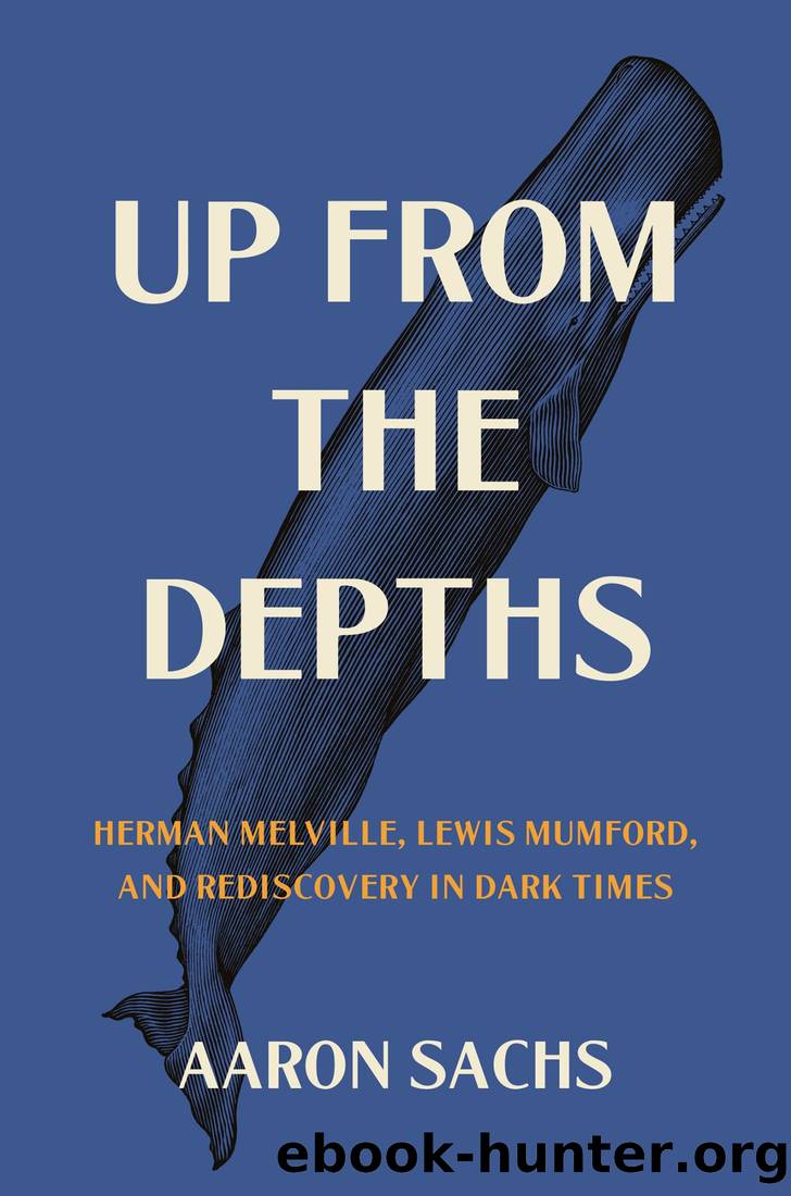 Up From the Depths by Aaron Sachs