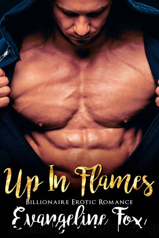Up In Flames (Billionaire Erotic Romance) by Evangeline Fox
