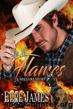 Up In Flames (Hellfire Series Book 6) by Elle James