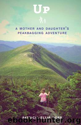 Up by Patricia Ellis Herr