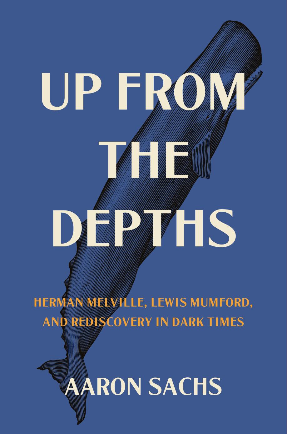 Up from the Depths by Aaron Sachs