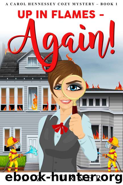 Up in Flames - Again! by Liz Turner