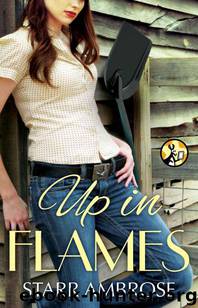 Up in Flames by Starr Ambrose