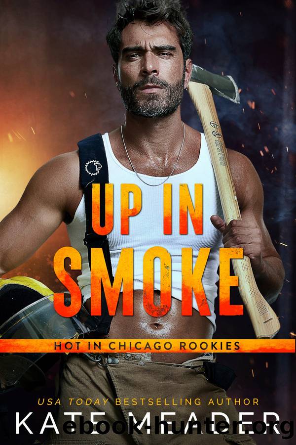 Up in Smoke: A Hot in Chicago Rookies Novel by Kate Meader