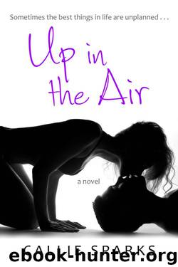 Up in the Air by Callie Sparks