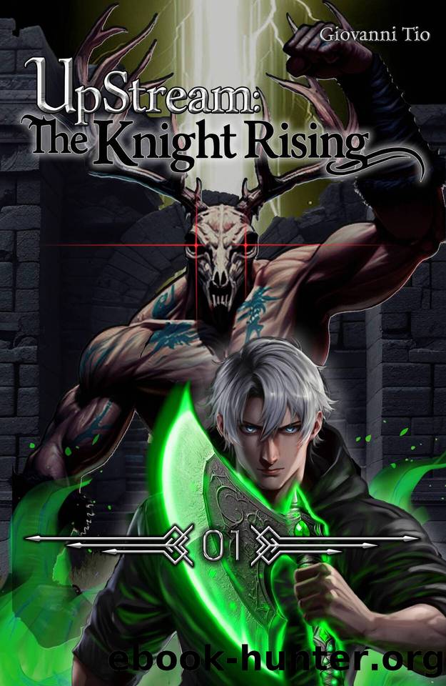UpStream: The Knight Rising â Volume 1: Urban LitRPG Fantasy Adventure by Tio Giovanni