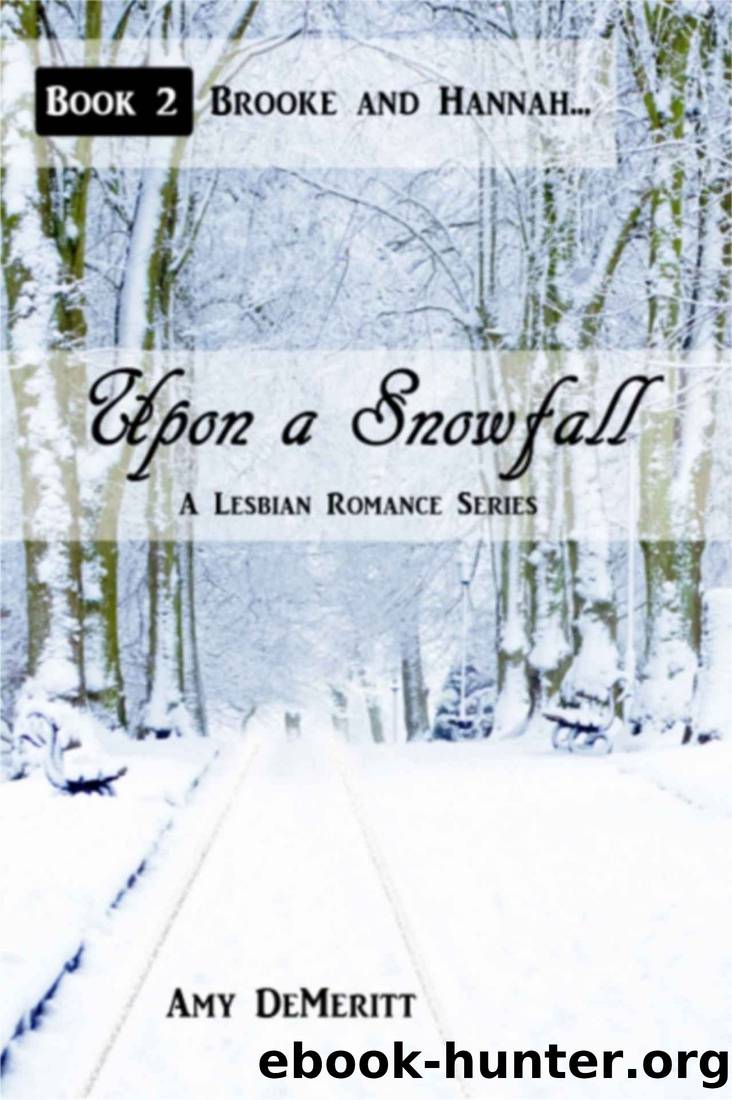 Upon a Snowfall by Amy DeMeritt