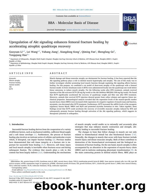 Upregulation of Akt signaling enhances femoral fracture healing by accelerating atrophic quadriceps recovery by Guoyuan Li & Lei Wang & Yuhang Jiang & Xiangdong Kong & Qiming Fan & Shengfang Ge & Yongqiang Hao