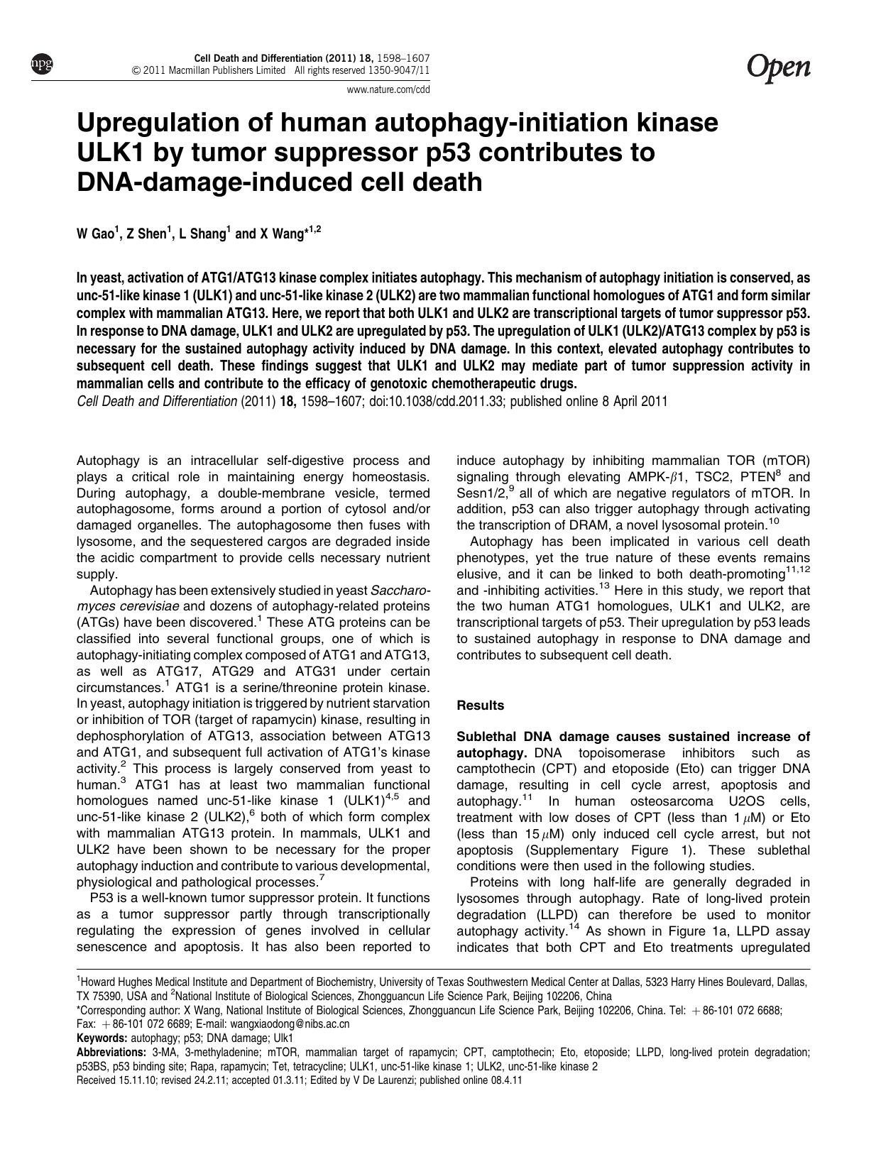 Upregulation of human autophagy-initiation kinase ULK1 by tumor suppressor p53 contributes to DNA-damage-induced cell death by W Gao & Z Shen & L Shang & X Wang