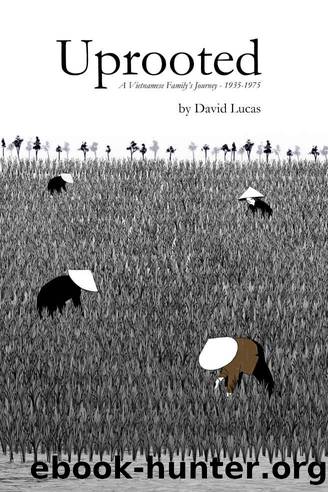 Uprooted: A Vietnamese Family's Journey - 1935-1975 by David Lucas
