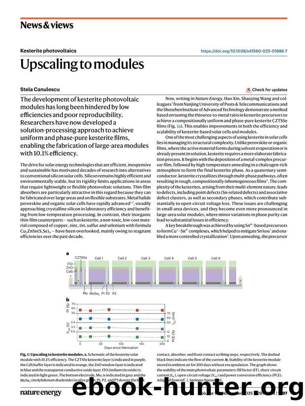 Upscaling to modules by Stela Canulescu