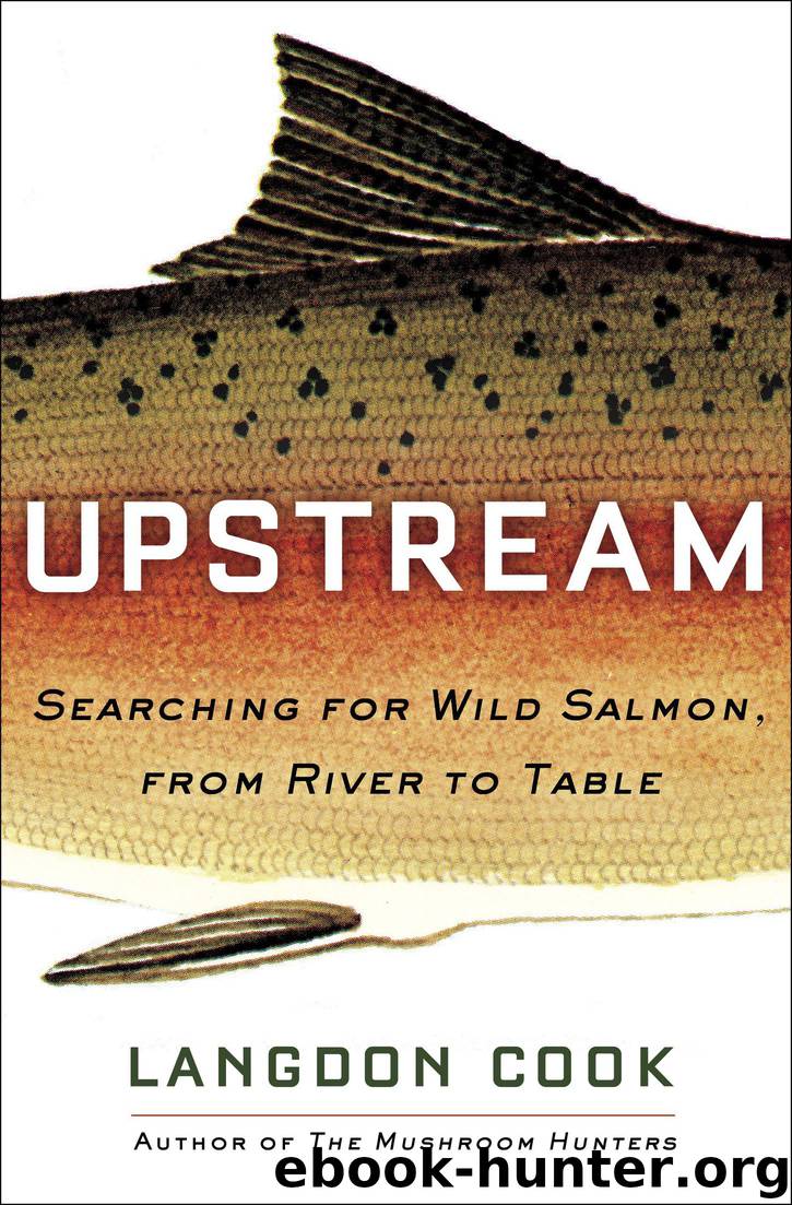 Upstream by Langdon Cook