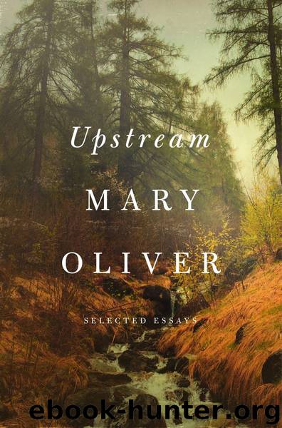 Upstream by Mary Oliver