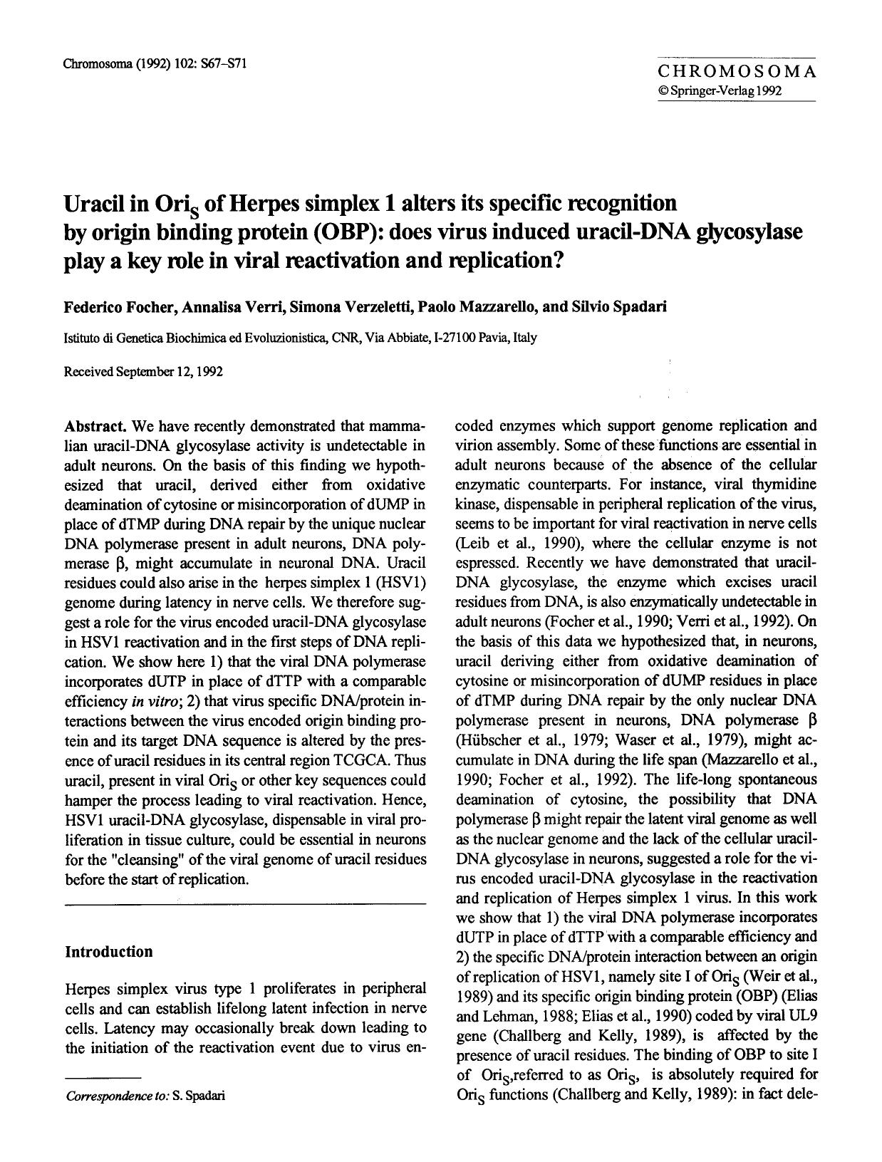 Uracil in Ori <Subscript>s <Subscript> of herpes simplex 1 alters its specific recognition by origin binding protein (OBP): does virus induced uracil-DNA glycosylase play a key rol by Unknown