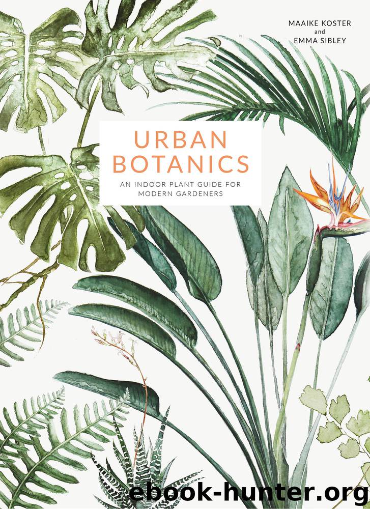 Urban Botanics by Maaike Koster