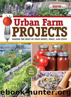 Urban Farm Projects: Making the Most of Your Money, Space and Stuff by Kelly Wood