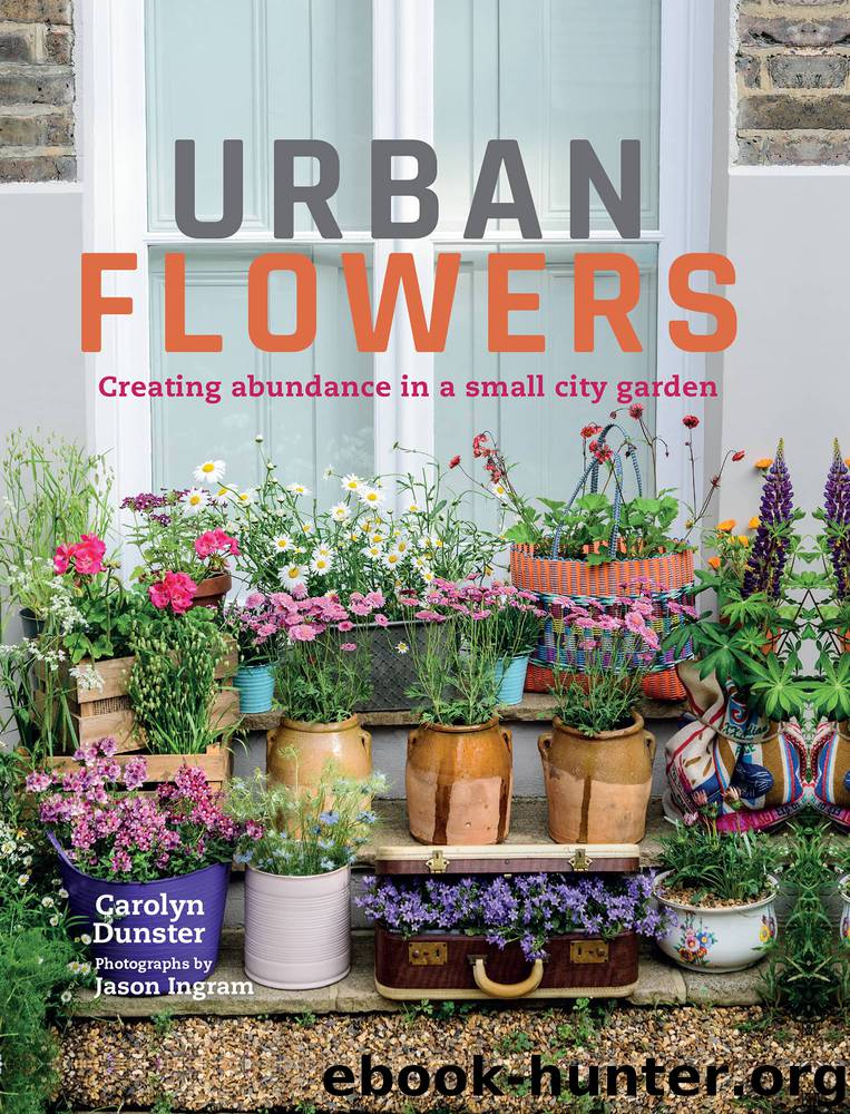 Urban Flowers by Carolyn Dunster
