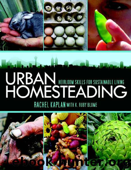 Urban Homesteading by Rachel Kaplan & K. Ruby Blume
