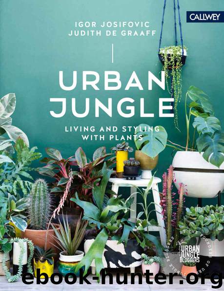 Urban Jungle: Living and Styling with Plants by Josifovic Igor & de Graaff Judith