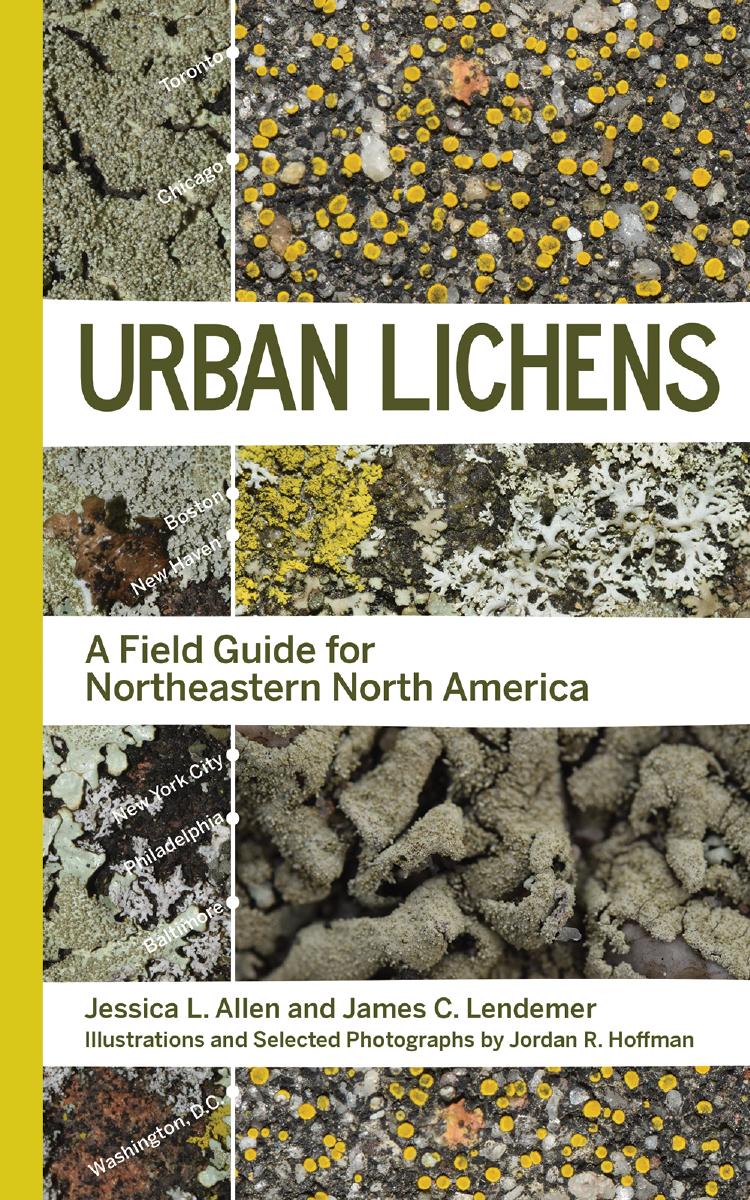 Urban Lichens: A Field Guide for Northeastern North America by Jessica L Allen James C Lendemer