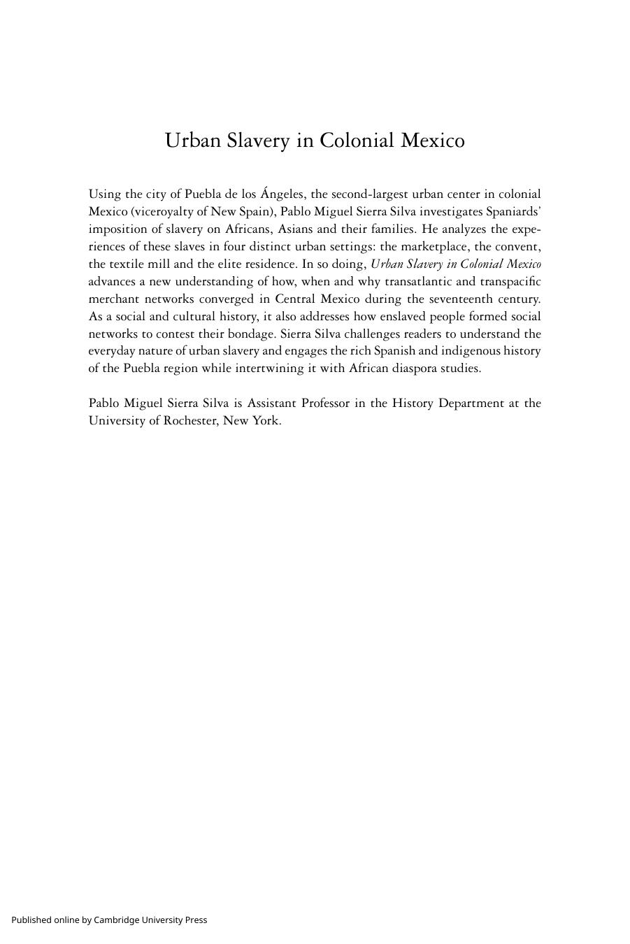 Urban Slavery in Colonial Mexico: Puebla de los Ãngeles, 1531â1706 by Pablo Miguel Sierra Silva
