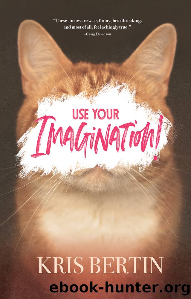 Use Your Imagination! by Kris Bertin