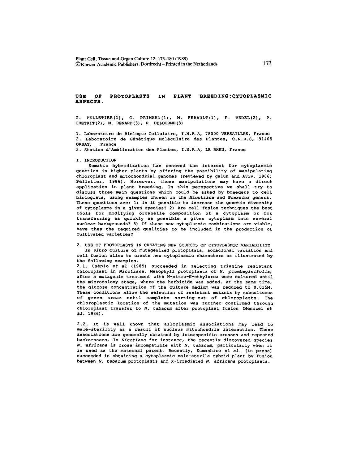 Use of protoplasts in plant breeding: Cytoplasmic aspects by Unknown