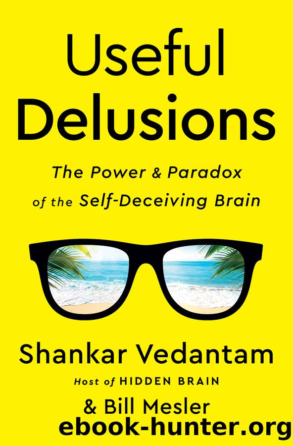 Useful Delusions by Shankar Vedantam