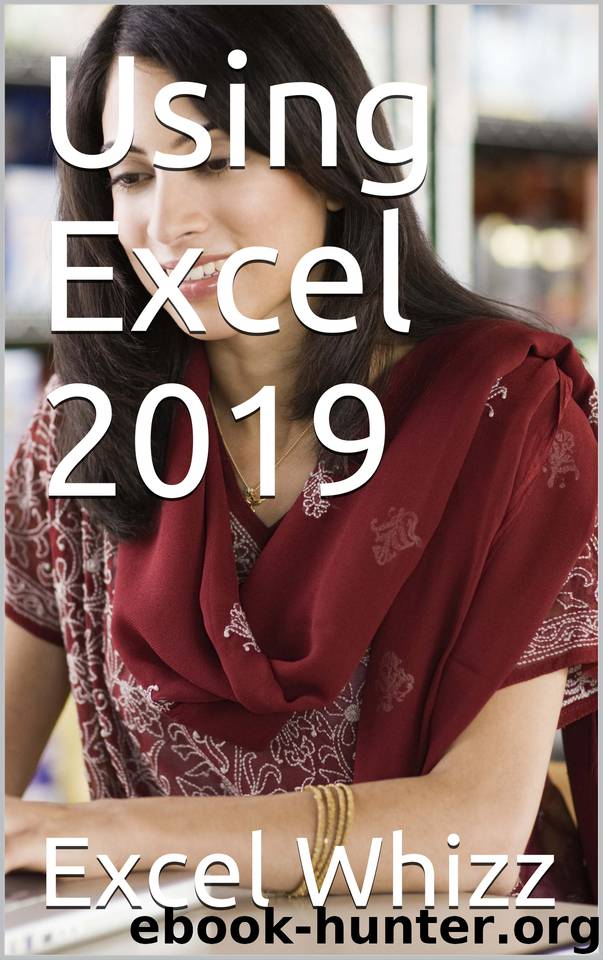 Using Excel 2019 by Whizz Excel