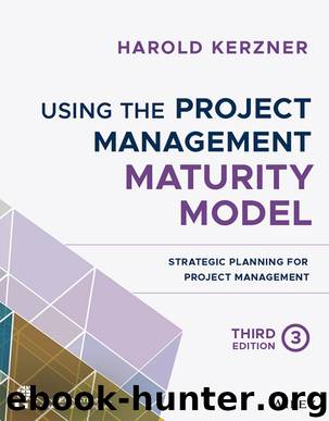 Using the Project Management Maturity Model by Harold Kerzner