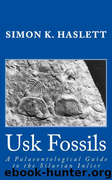 Usk Fossils: A Palaeontological Guide to the Silurian Inlier by Simon Haslett