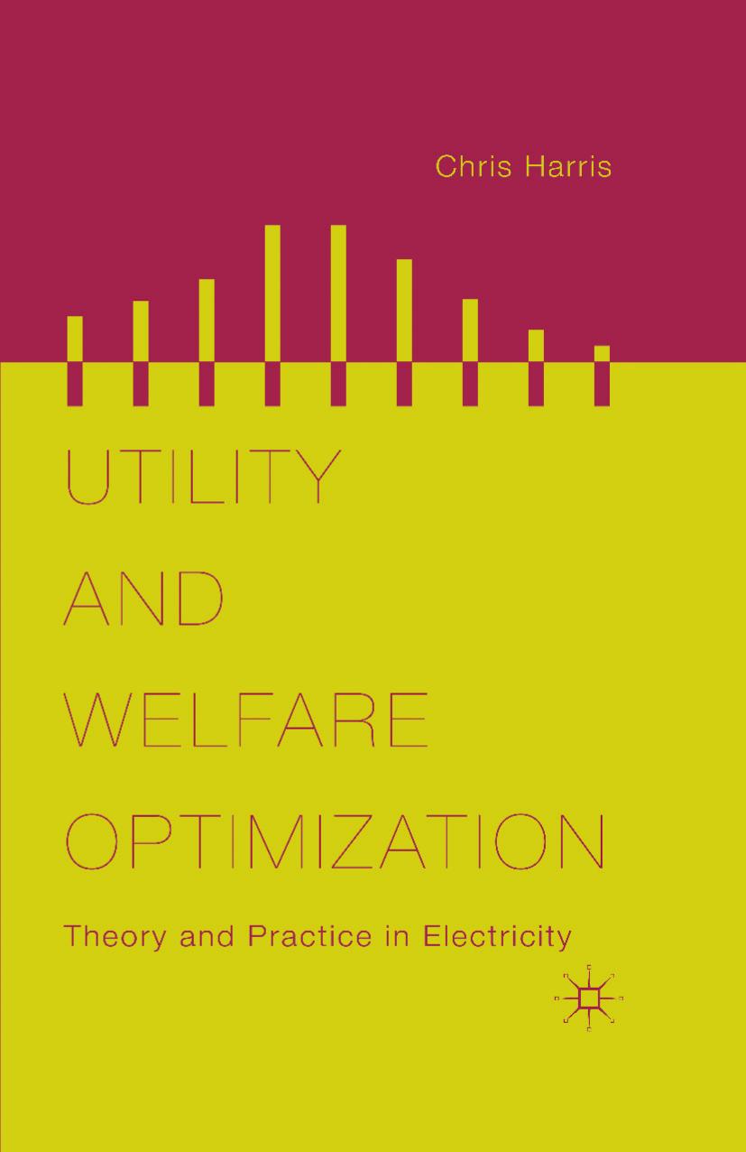Utility and Welfare Optimization: Theory and Practice in Electricity by Chris Harris (auth.)